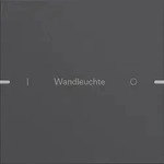 Gira Wippenset 1-fach 5031928