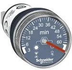 Schneider Electric Timer/Zeitrelais XB5DTGM5