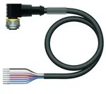 Turck Aktuator- u. Sensorleitung WKC8T-50/TEL