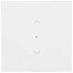 Busch-Jaeger Wippe 1-fach mit Symbol 6232-10-44G