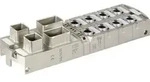 Murrelektronik Kompaktmodul 55528