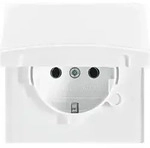Busch-Jaeger Schuko-Steckdoseneinsatz 20 EUGK-34-101
