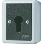 Jung Schl&uuml;sselschalter 806.28 G