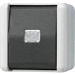 Jung Taster 10AX 250V 833 W