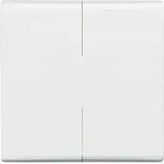 Busch-Jaeger Wippe aws 2105-34