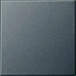 Gira Wippe Wechselsch. anth 029628