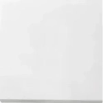 Gira Wippe Wechselsch. rws-gl 0296112