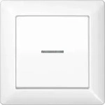 Jung Abdeckung Lichtleiter aws AS 590 KO5 WW