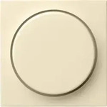 Gira Abdeckung cws-gl 065001