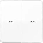 Jung Wippe Symbole aws CD 595 P WW