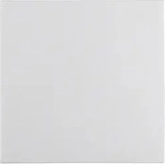 Berker Wippe pws/gl 16208989