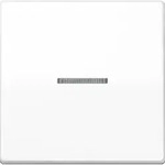 Jung Wippe Lichtleiter aws AS 591 KO5 WW