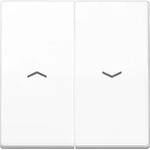 Jung Wippe Symbole aws AS 591-5 PBF WW