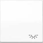 Jung Wippe Symbol LICHT aws AS 591 L WW