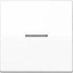 Jung Wippe Lichtleiter aws AS 591 KO5BF WW