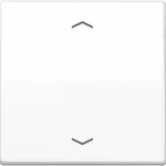 Jung Wippe Symbole aws AS 591 P WW
