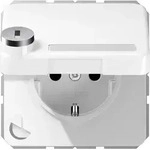 Jung SCHUKO-Steckdose 16A 250V CD 1520 NAKLSL WW