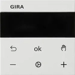Gira RTR Display 539303