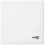 Busch-Jaeger Wippe mit Aufdruck 2520 TR-914