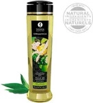 SHUNGA - BIO MASSAGE&Ouml;L GR&Uuml;NER TEE 240 ML