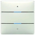 Theben Tastsensor 2 Tasten LUXORliving iON2