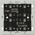 JUNG Tastsensor-Modul 2-fach 24V AC/DC 20mA 4224 TSM