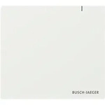 Busch-Jaeger System Access Point 3.0 SAP.13