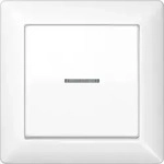 JUNG Abdeckung Lichtleiter aws f&uuml;r Taster AS 590 KO5 WW