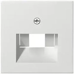Gira Zentralplatte UAE/IAE rws System55 027027
