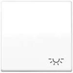 JUNG Wippe Symbol LICHT aws f&uuml;r Taster AS 591 L WW