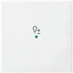 Busch-Jaeger Wippe aws Busch-balance SI 6234-10-914