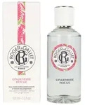 Gingembre Rouge Eau Parfum&eacute;e Bienfaisante Verdampfer 100ml