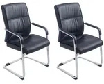 2er Set Freischwinger XL Anubis