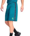 Hummel Authentic PL Shorts gr&uuml;n/schwarz S