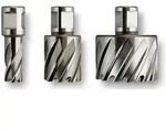 FEIN HSS Nova 50 Kernbohrer mit 3/4 in Weldon-Aufnahme, Bohr-&Oslash; 42 mm, Schnitttiefe
