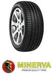 Minerva F205 XL 255/30 R19 91Y