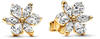 Pandora 262633C01 Damen-Ohrringe Funkelndes Herbarium Goldfarben
