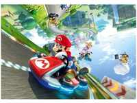 Winning Moves 29483 Nintendo Super Mario Kart Puzzle