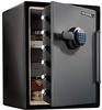 Masterlock Master Lock Sicherheitssafe mit digitaler Kombination LFW205FYC