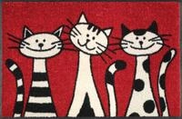 Fu&szlig;matte THREE Cats