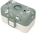 Lunchbox RACCOON