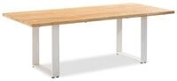 Gartentisch SOLID