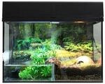 Lucky Reptile Terrarium Starter Kit 80 cm "Bombina/Pacman" schwarz