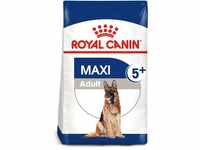 ROYAL CANIN MAXI Adult 5+ Trockenfutter für ältere große Hunde 15kg