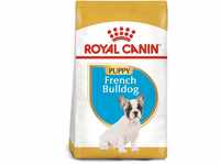 ROYAL CANIN French Bulldog Puppy Welpenfutter trocken für Französische Bulldoggen