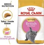 ROYAL CANIN British Shorthair Kittenfutter trocken f&uuml;r K&auml;tzchen 2kg