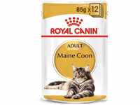 ROYAL CANIN Maine Coon Adult Katzenfutter nass 12x85g