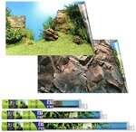 Juwel R&uuml;ckwand Poster f&uuml;r Aquarium L 100x50cm