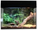 Lucky Reptile Terrarium Starter Kit 50 cm "Spinne + Skorpion" schwarz