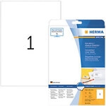 HERMA Korrekturetiketten 4230 Wei&szlig; Rechteckig 25 Etiketten pro Packung 5432938